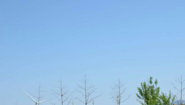 XV软件安装包国际家居:把爱与温暖送到智障孩子心中 